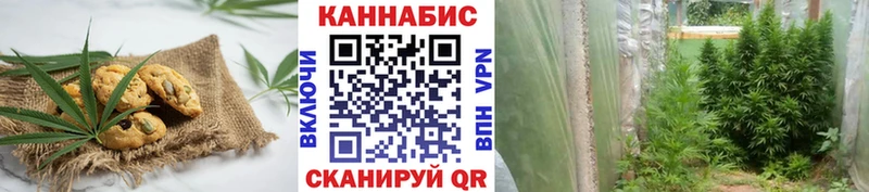 Купить где  Улан-Удэ  Еда ТГК марихуана 