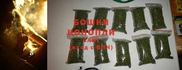 шишки Алексеевка