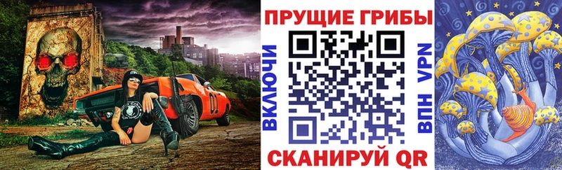 Купить  Улан-Удэ  Псилоцибиновые грибы Psilocybe 